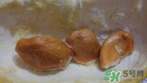 榴蓮核能種嗎？榴蓮核怎么種盆栽？