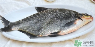 鳊魚怎么做好吃？鳊魚怎么燒好吃