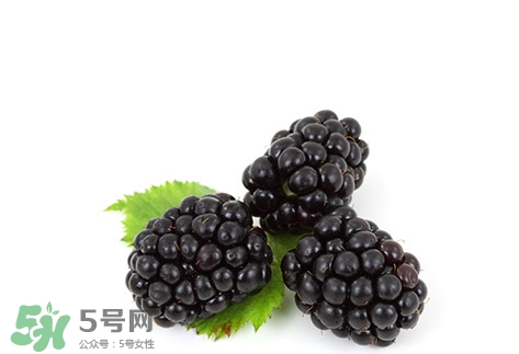 覆盆子的熱量高嗎？覆盆子可以減肥嗎？