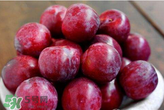 吃李子為什么會(huì)拉肚子？拉肚子可以吃李子嗎？