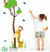 給孩子補(bǔ)鈣可以長高嗎？身高跟補(bǔ)鈣有沒有直接關(guān)系？