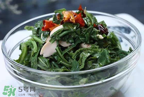 苦菜怎么保存？苦菜怎么保存時(shí)間長(zhǎng)？