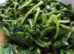 苦菜可以曬干嗎？苦菜怎么曬干？