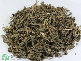 苦菜可以曬干嗎？苦菜怎么曬干？
