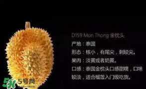 金枕頭和貓山王哪個好？金枕頭和貓山王的區(qū)別