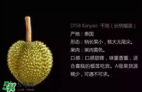 金枕頭和貓山王哪個好？金枕頭和貓山王的區(qū)別