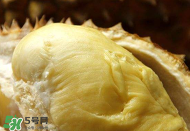 金枕頭榴蓮幾月份上市？金枕頭榴蓮什么時(shí)候上市？