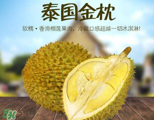 金枕頭榴蓮怎么才算熟？金枕頭榴蓮怎么催熟？