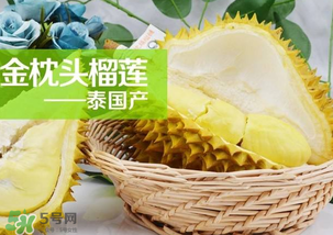金枕頭榴蓮怎么才算熟？金枕頭榴蓮怎么催熟？