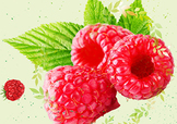 刺泡的熱量 刺泡可以減肥嗎？