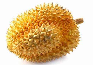 金枕頭和貓山王哪個好？金枕頭和貓山王的區(qū)別