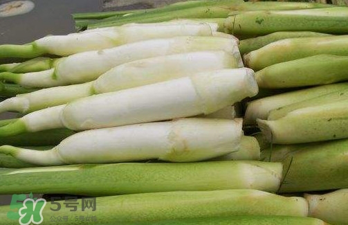 茭白是筍嗎？茭白是高筍嗎