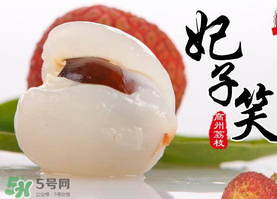 荔枝為什么叫妃子笑？荔枝和妃子笑的區(qū)別
