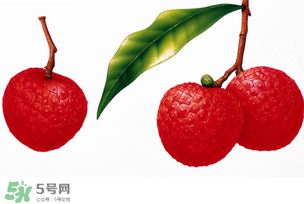 拉肚子能吃荔枝嗎 ？拉肚子可以吃荔枝嗎 ？