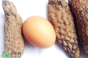 肉蓯蓉怎么吃壯陽(yáng)？哪些人不能吃肉蓯蓉
