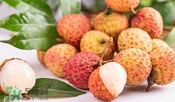 妃子笑荔枝是哪里出產(chǎn)的？妃子笑荔枝產(chǎn)地是哪里