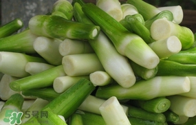 茭白什么時候上市？茭白什么季節(jié)有
