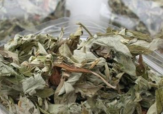 艾葉怎么做枕頭？自制艾葉怎么做枕頭