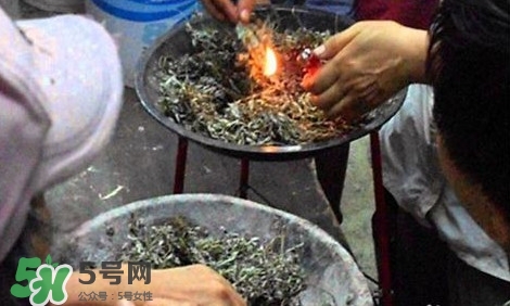 艾葉可以驅(qū)蚊子嗎？艾葉能驅(qū)蚊子嗎