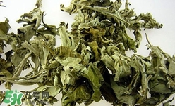 艾葉可以驅(qū)蚊子嗎？艾葉能驅(qū)蚊子嗎