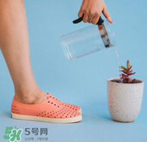 native鞋中文名稱是什么？native鞋中文怎么翻譯？
