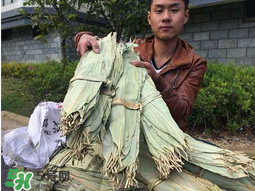 干粽葉怎么煮？干粽葉煮多久？
