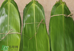 干粽葉要煮嗎？干粽葉到底是泡好還是煮好？