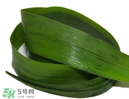 粽葉有幾種？粽葉哪種好？