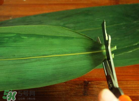 粽葉是干的好還是新鮮的好？干棕葉好還是新鮮棕葉好？