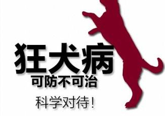 狂犬病會傳染嗎？狂犬病會學(xué)狗叫嗎