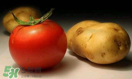 西紅柿能和土豆一起吃嗎？土豆可以和西紅柿一起吃嗎