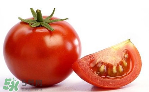 西紅柿不能和什么一起吃？西紅柿與哪些食物相克