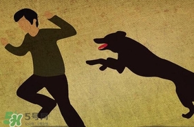 狂犬病疫苗什么時(shí)候打？狂犬病潛伏期最長(zhǎng)多久