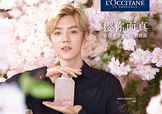 鹿晗代言了歐舒丹嗎？歐舒丹的代言人是鹿晗嗎？