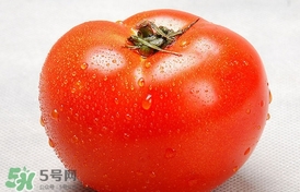 西紅柿能和黃瓜一起吃嗎？黃瓜可以和西紅柿一起吃嗎？