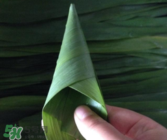 粽子葉能冷凍嗎？粽子葉放冰箱冷藏還是冷凍？