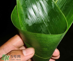 粽子葉能冷凍嗎？粽子葉放冰箱冷藏還是冷凍？