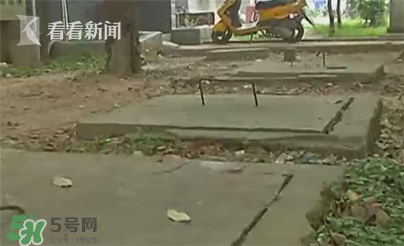 樹(shù)下燒螞蟻引爆化糞池 沼氣池化糞池為什么會(huì)爆炸