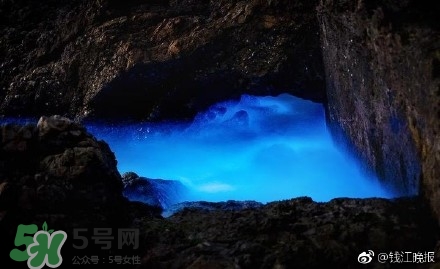 浙江多地驚現(xiàn)藍(lán)眼淚現(xiàn)象 藍(lán)眼淚是什么？