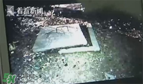 樹(shù)下燒螞蟻引爆化糞池 沼氣池化糞池為什么會(huì)爆炸