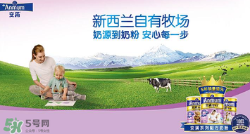 安滿滿睿幼兒配方奶粉怎么樣？安滿滿睿奶粉怎么沖？