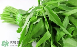 空心菜可以放冰箱嗎？空心菜能在冰箱放幾天