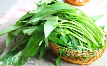 空心菜有毒嗎？空心菜需要焯水嗎？