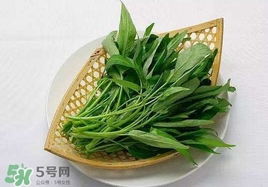 空心菜能和雞蛋一起吃嗎？雞蛋可以和空心菜一起吃嗎