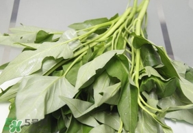 空心菜可以生吃嗎？空心菜能生吃嗎