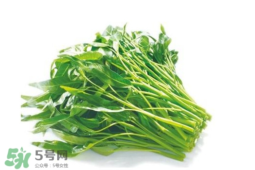 空心菜有毒嗎？空心菜需要焯水嗎？