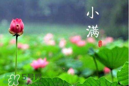 節(jié)氣小滿大滿是什么意思？24節(jié)氣為什么沒(méi)有大滿
