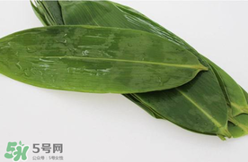 新鮮粽葉怎么處理？新鮮粽子葉怎樣處理？