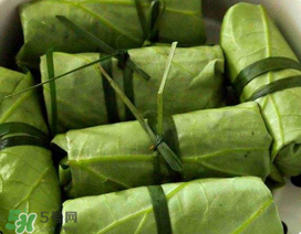 荷葉可以包粽子嗎？荷葉怎么包粽子？