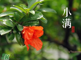 ?小滿可以回娘家嗎？?小滿能回娘家嗎？